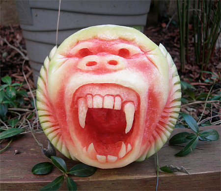 watermelone (14)