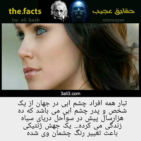 fact (5)